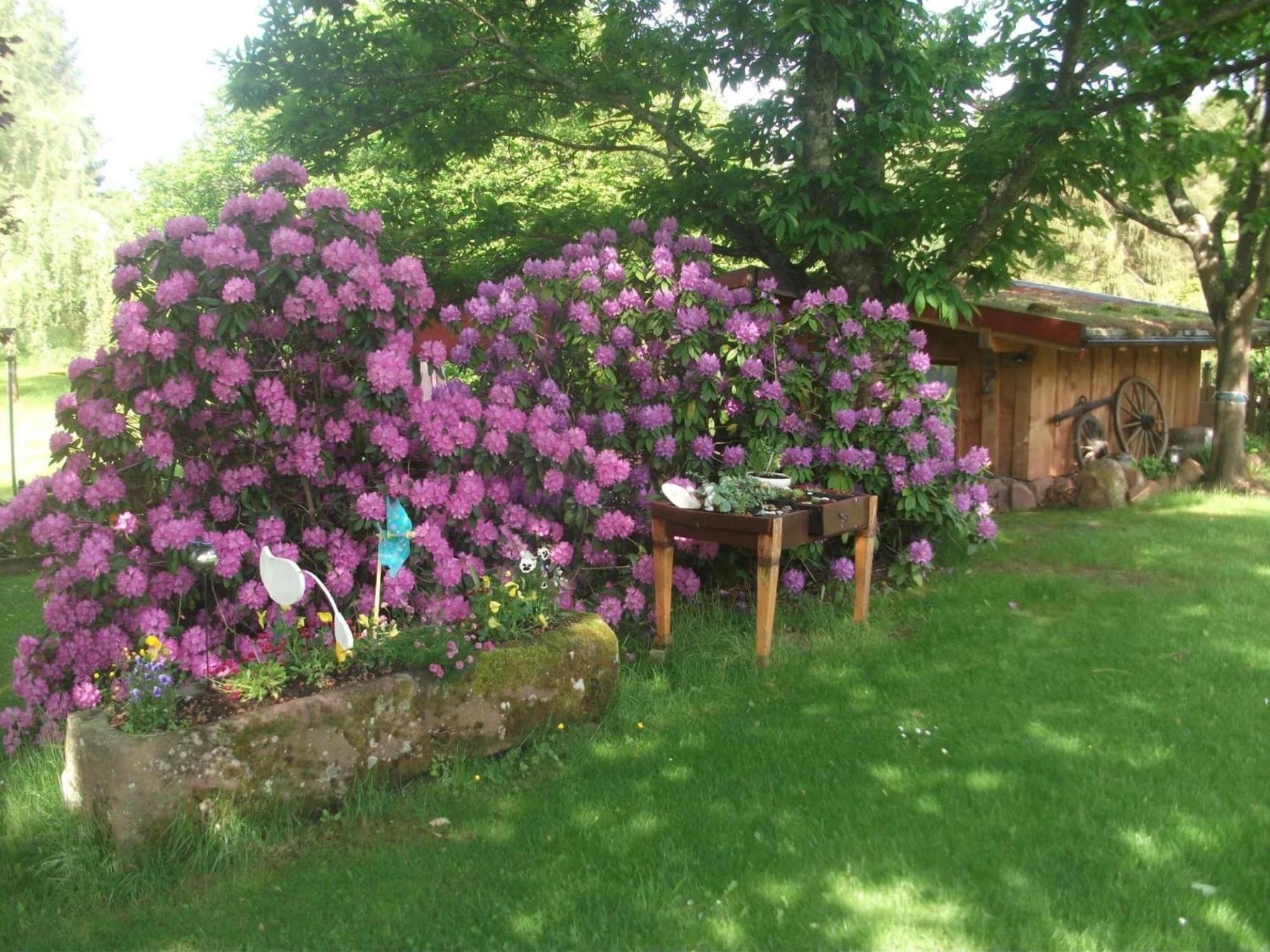 Ferienwohnungen 'Blick Zur Madonna' Fischbach Εξωτερικό φωτογραφία